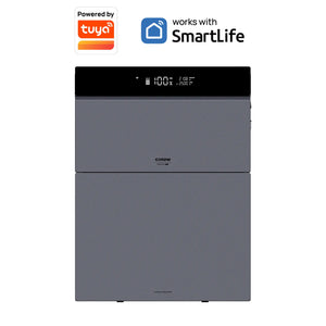 CONOW Tuya CBE2000 PRO All-in-one solarspeicher mit Conow 5,0 kWh Zusatzakku
